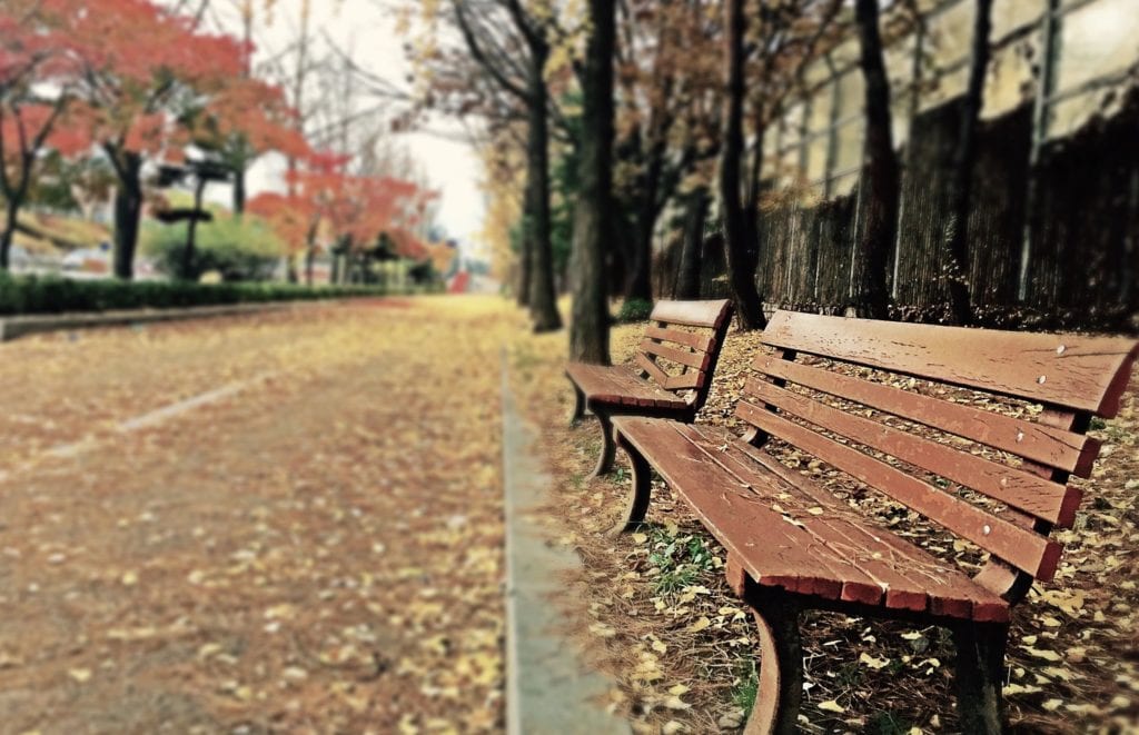 A park bench with leaves on the ground